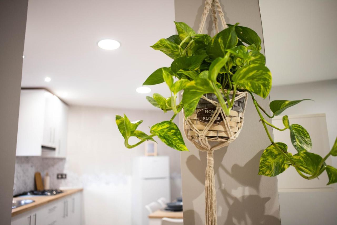 La Pequena Apartment เบเลซรูบิโอ ภายนอก รูปภาพ